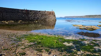 Sennen Harbour Wall.jpg
